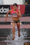 Anna Willard