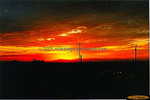 Arizona Sunset