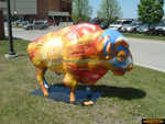 Painted bison could be found throughout the Fargo area
