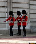 Palace Guards