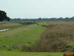 The marsh area supports a variety of wildlife.