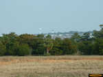 Tybee Island lighthouse in the distance